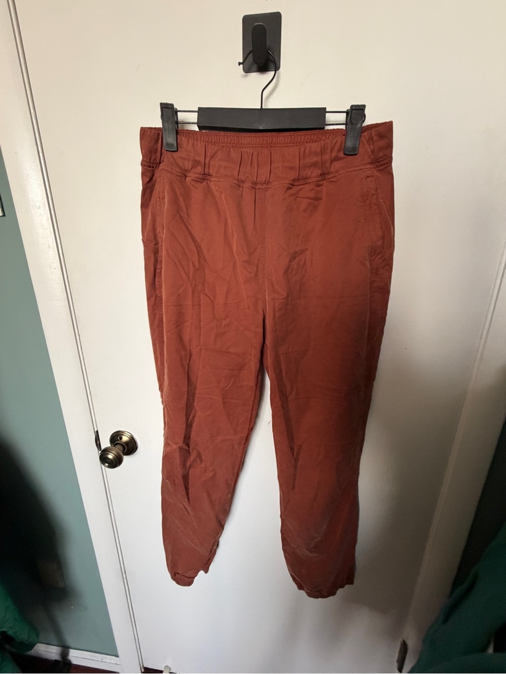 RARE Lululemon Adapted State Training
Jogger Dark Terracotta - Picture 3 of 5